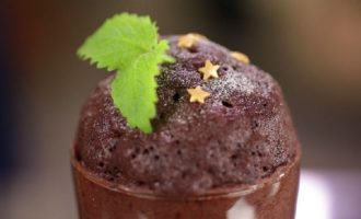 Cupcake in de magnetron in 5 minuten in een mok - 9 eenvoudige en snelle recepten met stap voor stap een foto