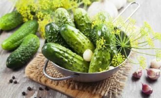 Klassieke lichtgezouten komkommers in een pan met hete pekel