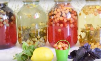 Mojitocompote van kruisbessen met munt voor de winter