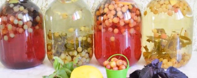 Mojitocompote van kruisbessen met munt voor de winter