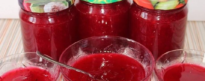 Rode bessengelei voor de winter