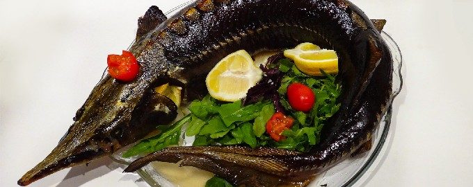 Hele oven gebakken steur