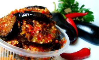 Schoonmoeder aubergine tong voor de winter