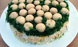 Champignon (bos) glade salade met champignons