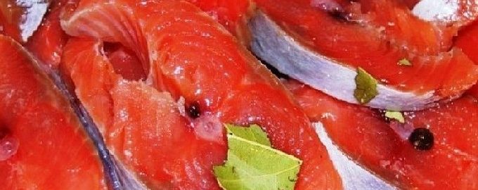 Hoe je thuis snel en smakelijk roze zalm kunt pekelen